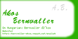 akos bernvaller business card